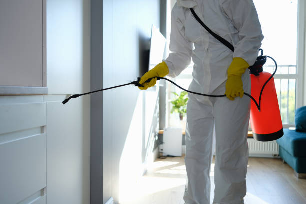 Best Home Mold Removal  in Versailles, PA