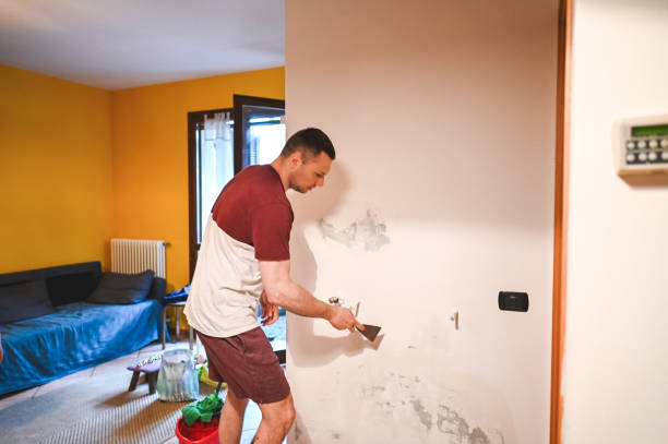 Best Local Mold Removal Service  in Versailles, PA