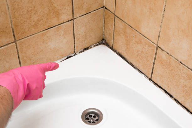 Best Mold Testing  in Versailles, PA